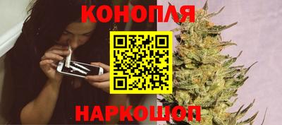 спиды Новозыбков