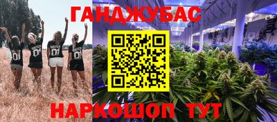 спиды Новозыбков