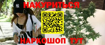 спиды Новозыбков