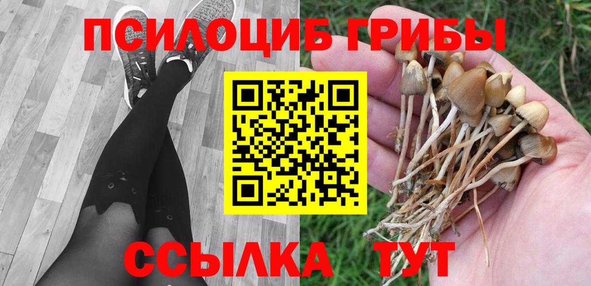 Галлюциногенные грибы Magic Shrooms  где купить наркоту  Вход с VPN  Бугуруслан  Псилоцибиновые грибы мицелий 